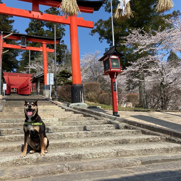 806716be b5f1 4cbd a5e0 9509c3752991 1649236075523