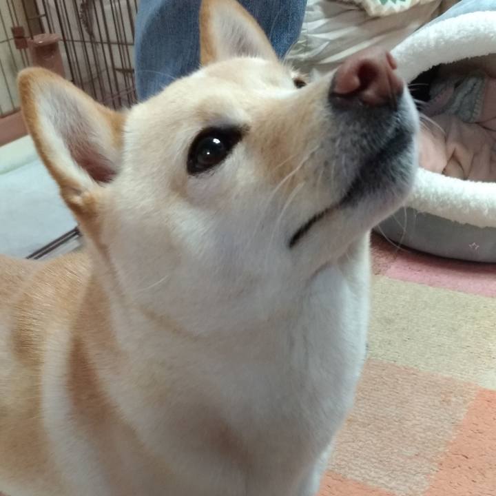 80671c67 3c99 4f45 a8a6 9e0e80d40913 1578697680706