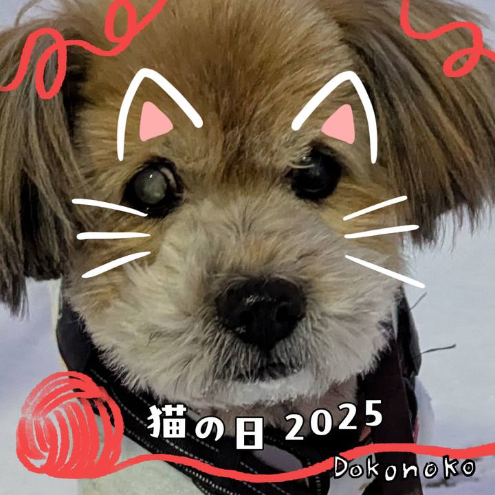 8067240e e18d 4b79 838e 280e897baf25 1740179512207