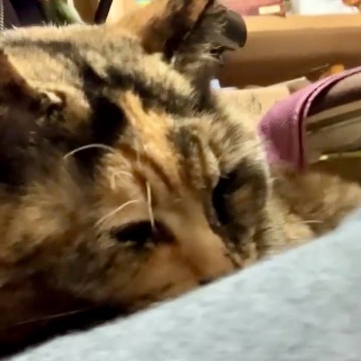 80674853 7fdb 4dfc 8780 c2ff6fad175f 1737374358182