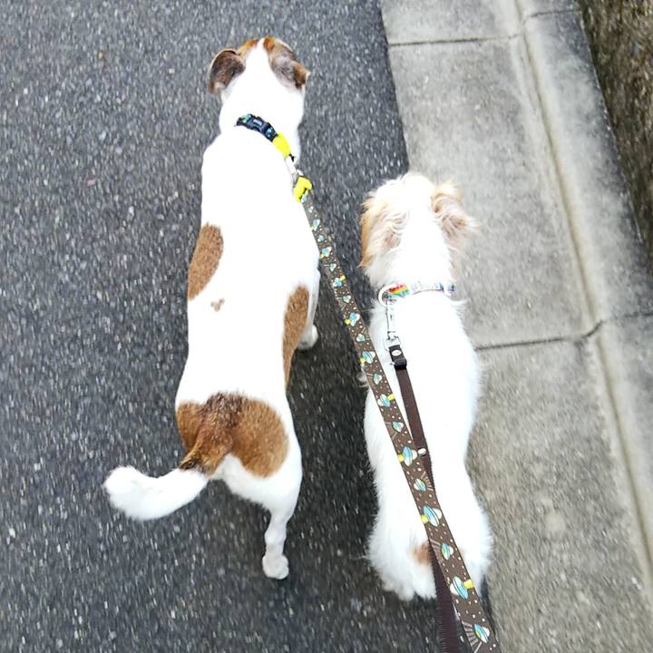 80676714 37d1 47cc b543 d1c04defb580 1538979860751