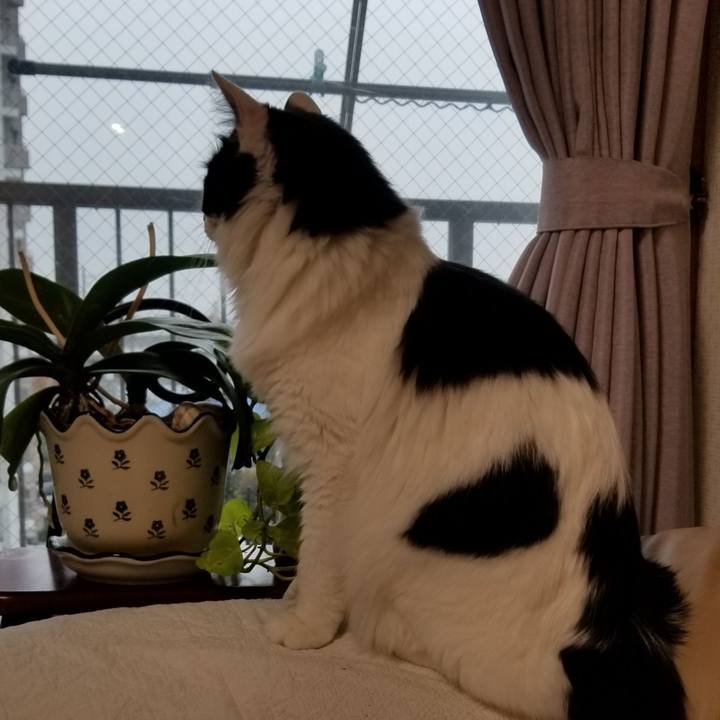 80676e21 99ff 4d12 ad0f 679d7a815433 1574115226418