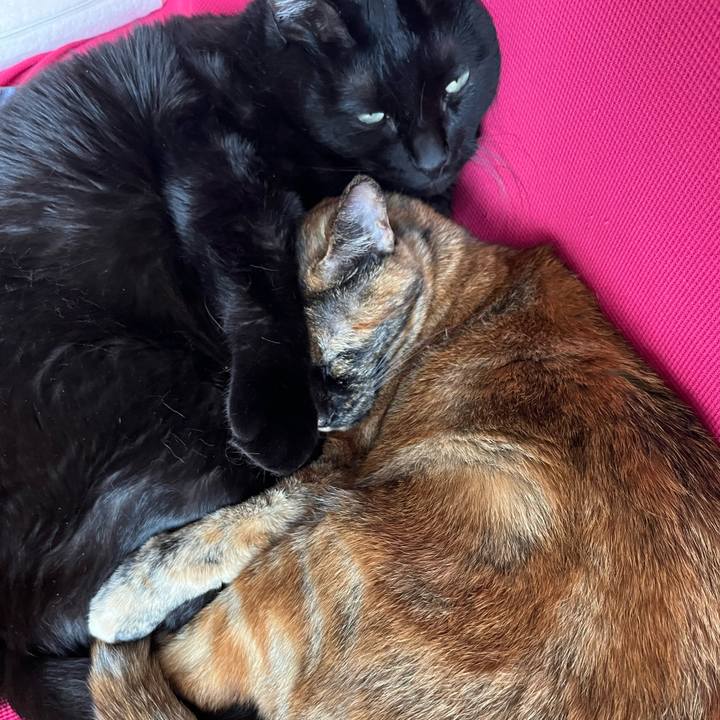 80676f08 1d26 4648 a03b fdc1560c27eb 1752120609969