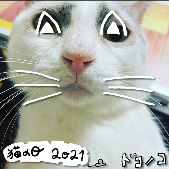 8067720d bfd1 4d3e 95e6 cab950b9b529 1614002879264