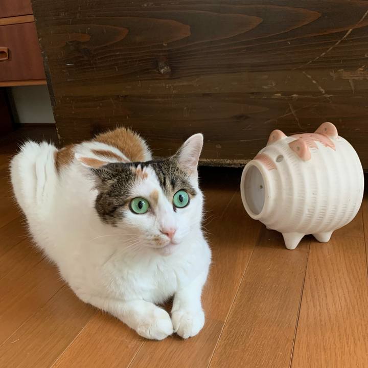 8067a215 3323 4066 8df5 2d5ec32610ee 1689237886573