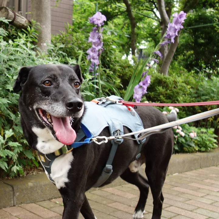 8067e7d9 310d 40a6 913d 11f87d8cb800 1719361826303