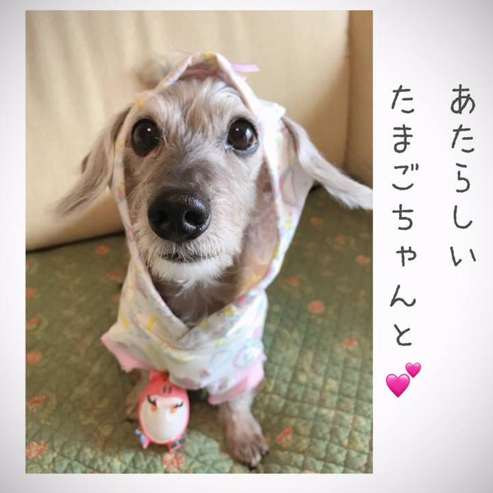 8068109a 5d23 4c4b bc0e 3d16a55b8a1a 1525829639940