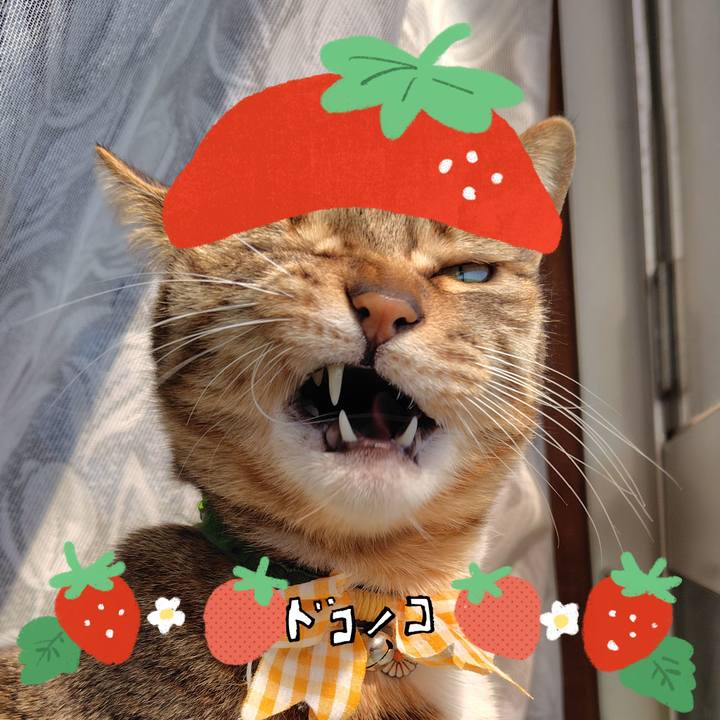 80684be6 b96c 4e8c 8b35 416751def651 1775613577402