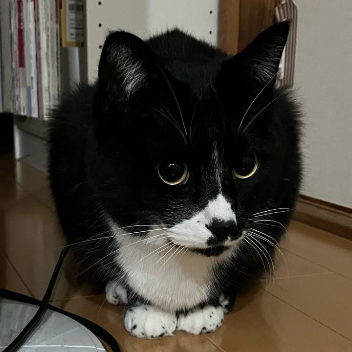 806850e8 e807 4552 b1aa 526016002a11 1708312977339