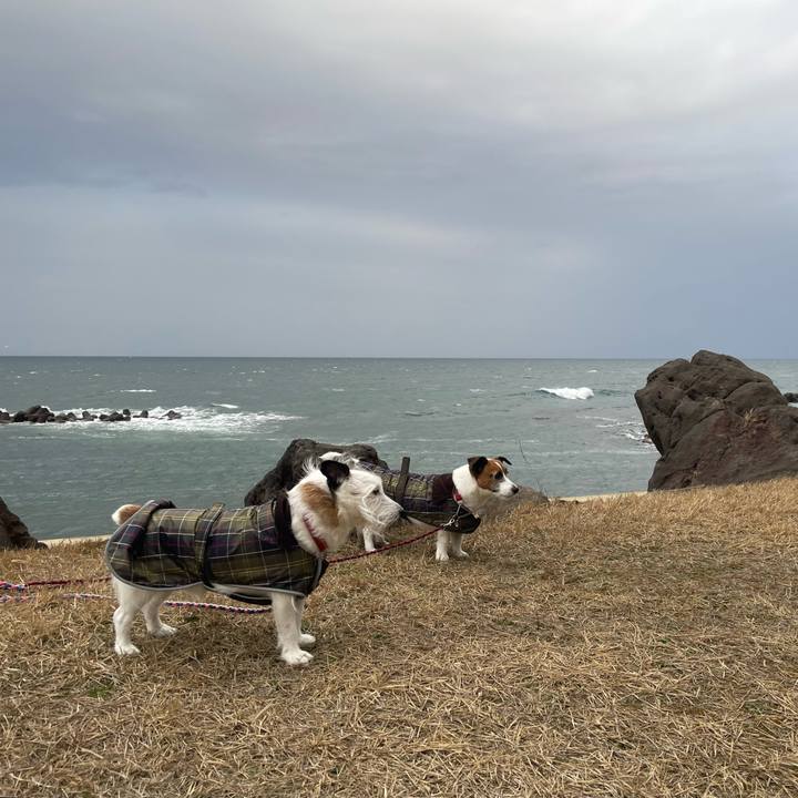 80686961 f9c0 4968 80a2 b9e6fb125ee4 1771813880726