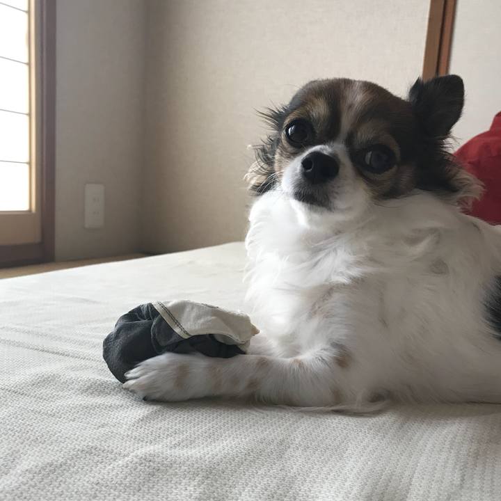 8068c42e e354 4e52 88e7 52f6425aaeeb 1510839217236