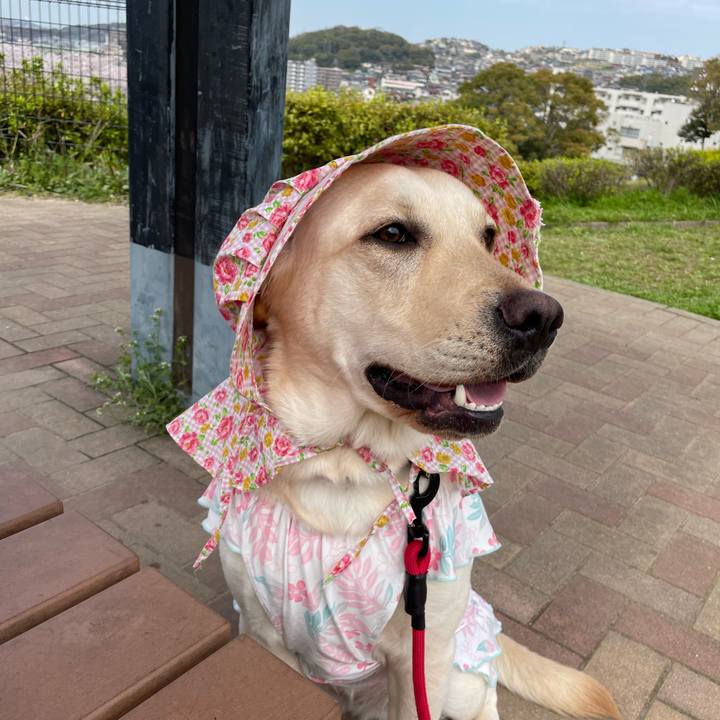 8068c751 e4a6 4887 9052 5aa18ef23d63 1648530622164