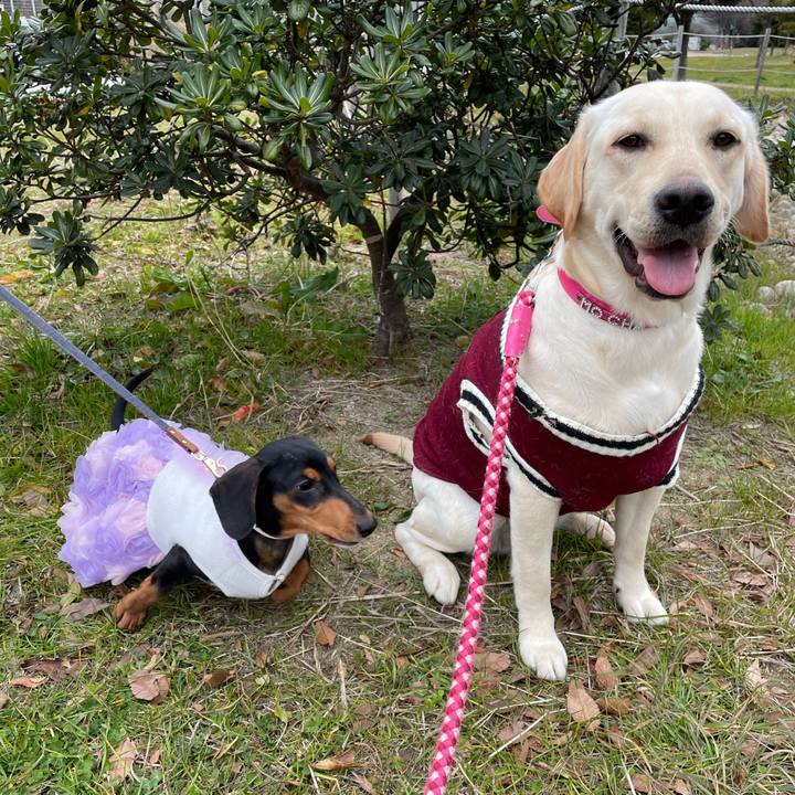 8068fcd1 f62a 4557 81a4 1da7becf678c 1643067699566