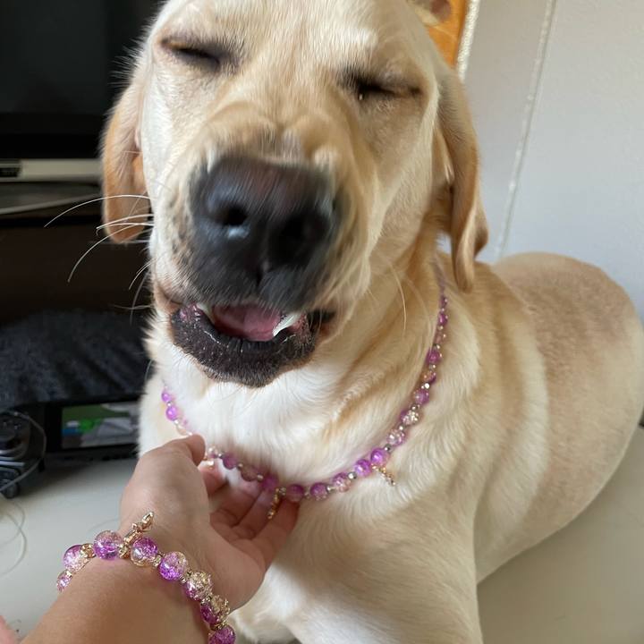 8069273d 9b4c 491f ab52 c9dbf9a42bff 1642504354774