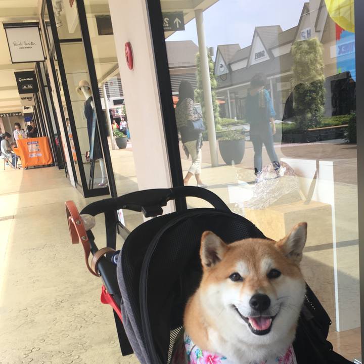 80694f26 71e4 451d 88e6 f8a54e39e44f 1563435640831