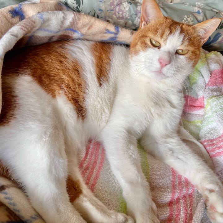 8069ab7e feb3 40d9 961c b2ebcadfa777 1713161702176