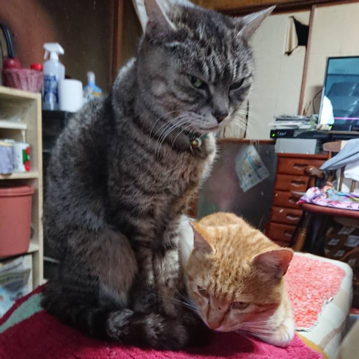 8069bf6f 351f 4596 97dd 5c20804c0240 1555836916022