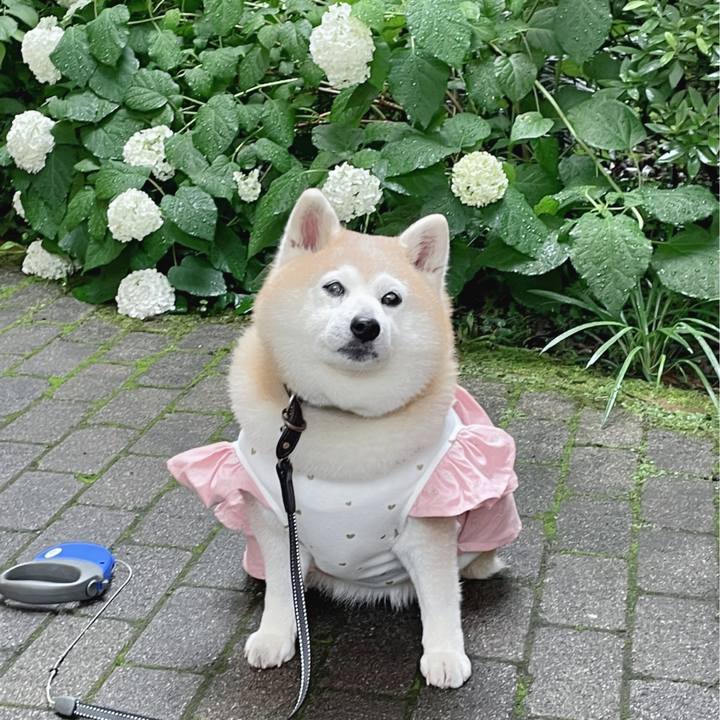 8069c12f 39ea 49a6 9000 3fef93376e6e 1664106530152