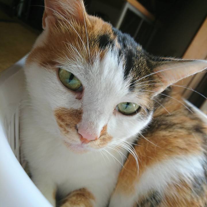 806a05da eefd 4e40 8ed9 b561fdd2bc4a 1535590134599