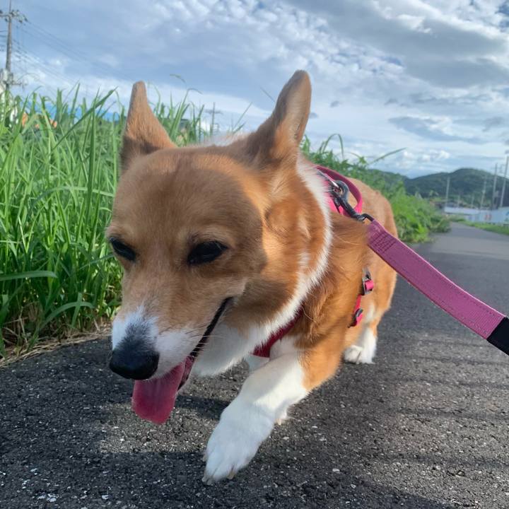 806a21aa 8654 420f 9105 b28fef21337e 1722295897095