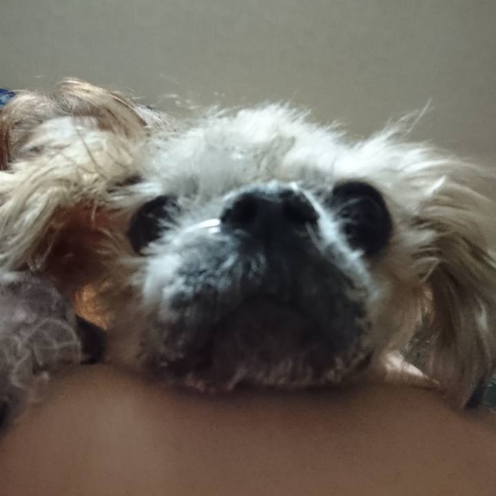 806a223d 6802 40a4 aa27 8faeedbcdc8f 1527606973566