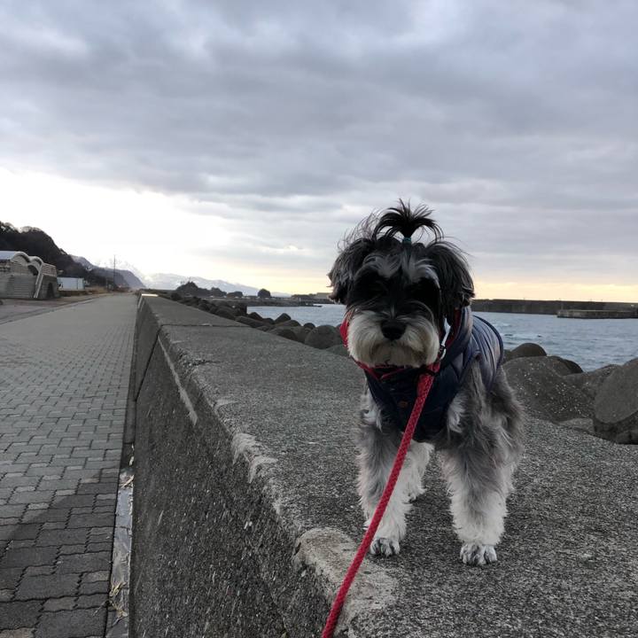 806a474f d987 48e2 a1dd 611ae900e3a5 1515317781111