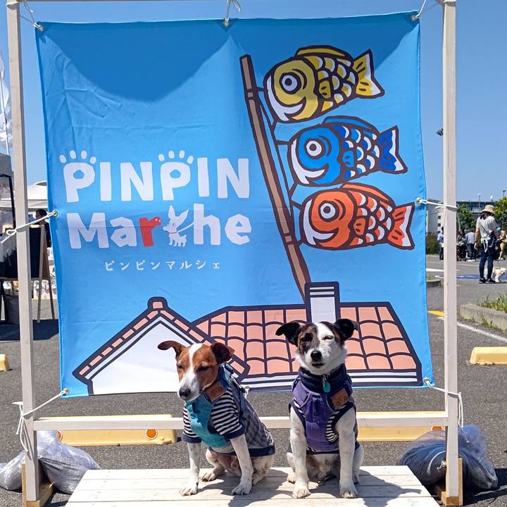 806a765a 4272 4e8f a66c b9640dfc40fc 1714711255548