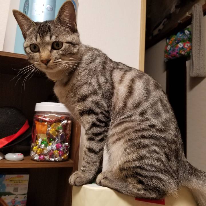 806abb1d c8ab 4c98 891b 6cb91ebd3342 1677885065752