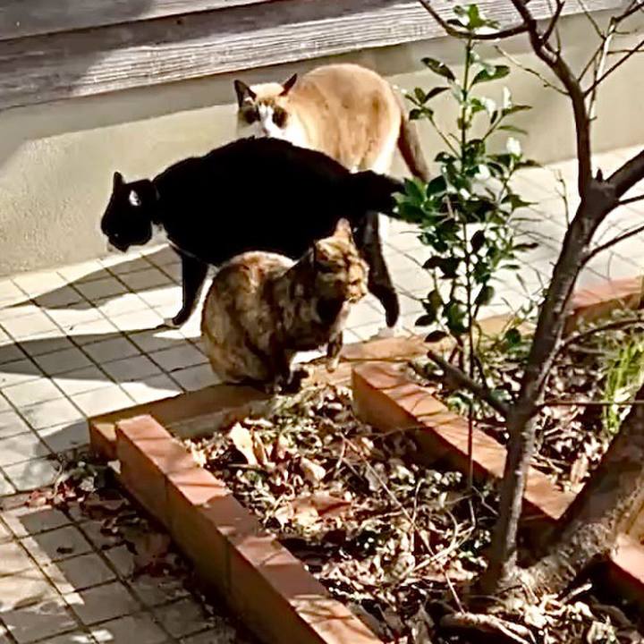 806ac019 9dd4 45ee bfd3 428670d4f38b 1740276370117