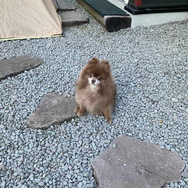 806ad7f2 9c63 4832 8d76 bfa71ce5fed7 1690495506310