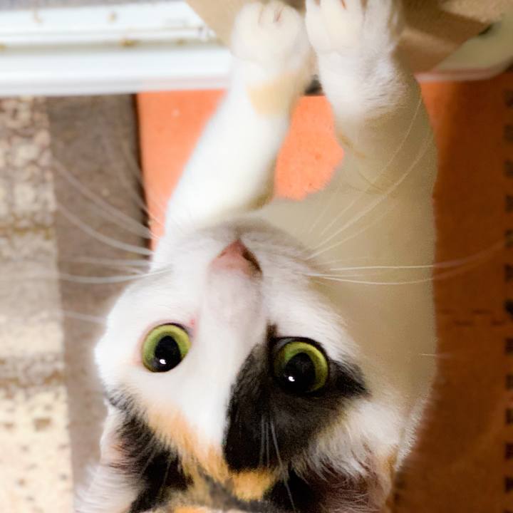 806adbb8 fda7 493b 8479 b722d4717db6 1561773234081