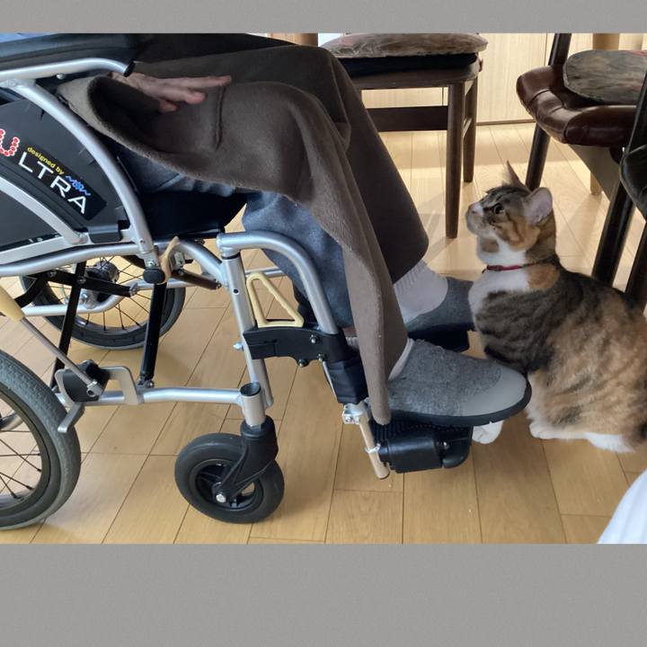 806b1c9d d975 4fc9 8e72 cc416719903c 1654246646468