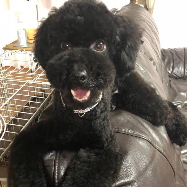 806b348b f652 4eb5 a5b4 151923e25cdc 1528535036355