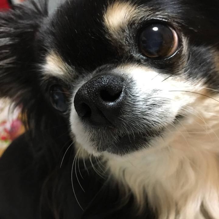 806b7d1b 6b49 4891 9515 ebd49621a1a9 1517745626106