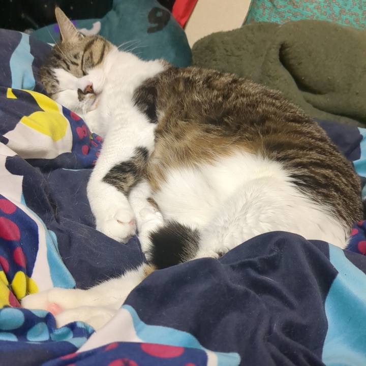 806b89b0 b188 400c a636 a6abbe3ef740 1737281193077