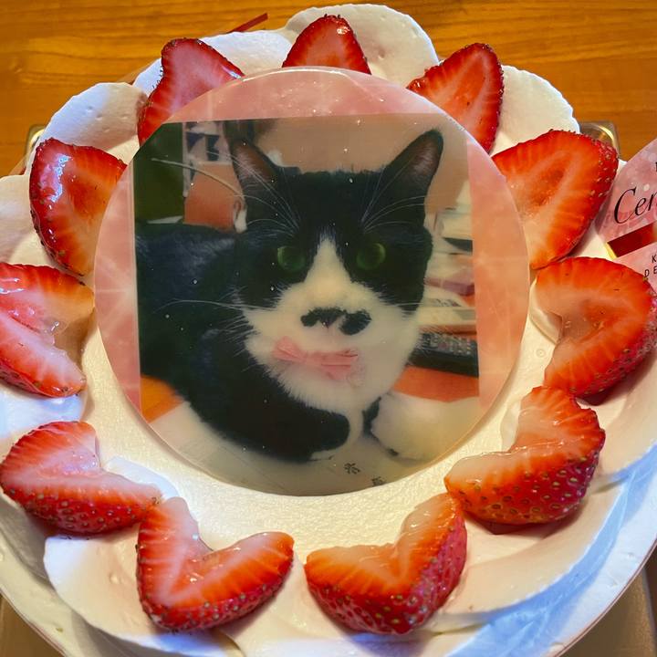 806bd842 01e1 460f 87b8 45f0d0b423a9 1698310590292