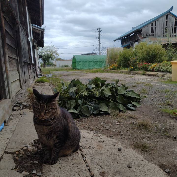 806bf058 89ba 4eab a8a2 de69a49ef715 1696030561479