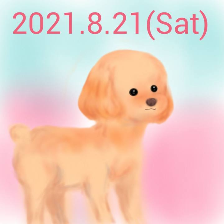 806c0031 ea46 46f7 996a b205047ef357 1629552088218