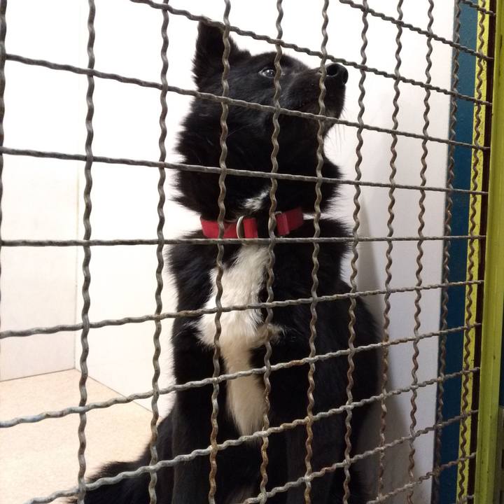 806c2896 4997 45fb b0a3 ace88496bcb3 1548585296719