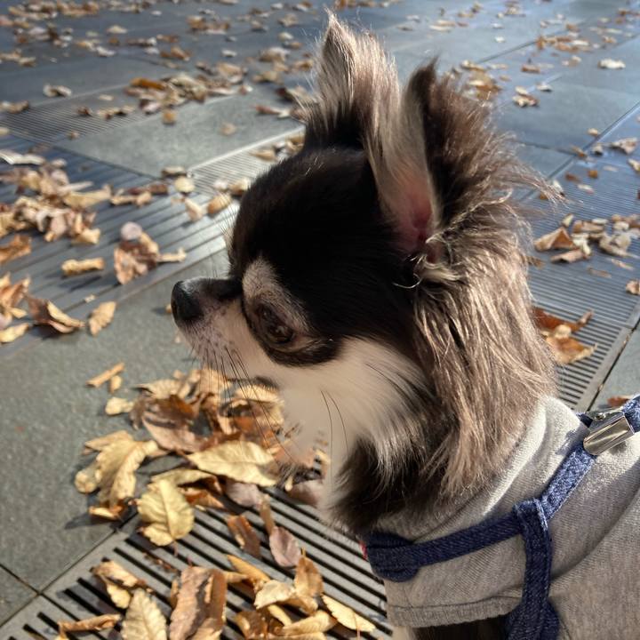 806c8abc 943b 4077 94fe 4167b003615a 1638680760786