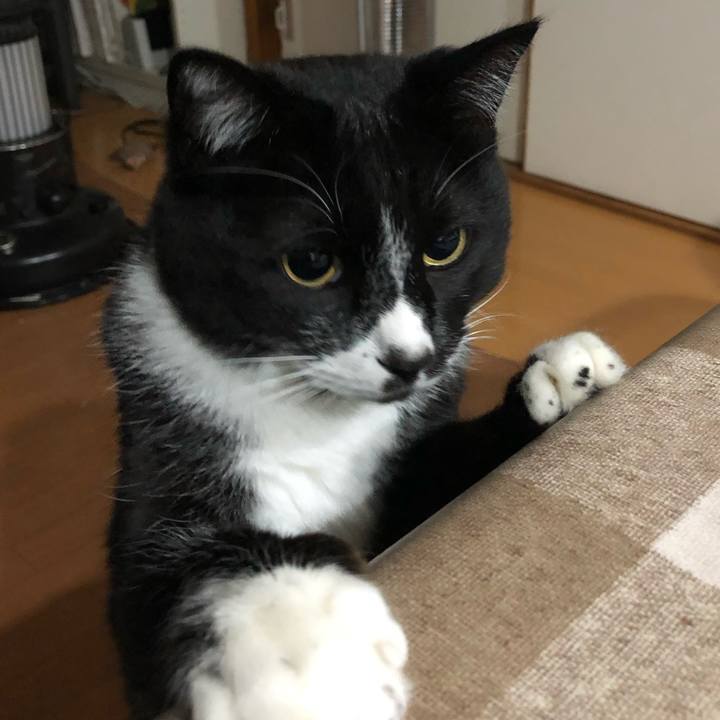 806c92c9 3e0e 43ea b1e3 849c373624d0 1619495014457