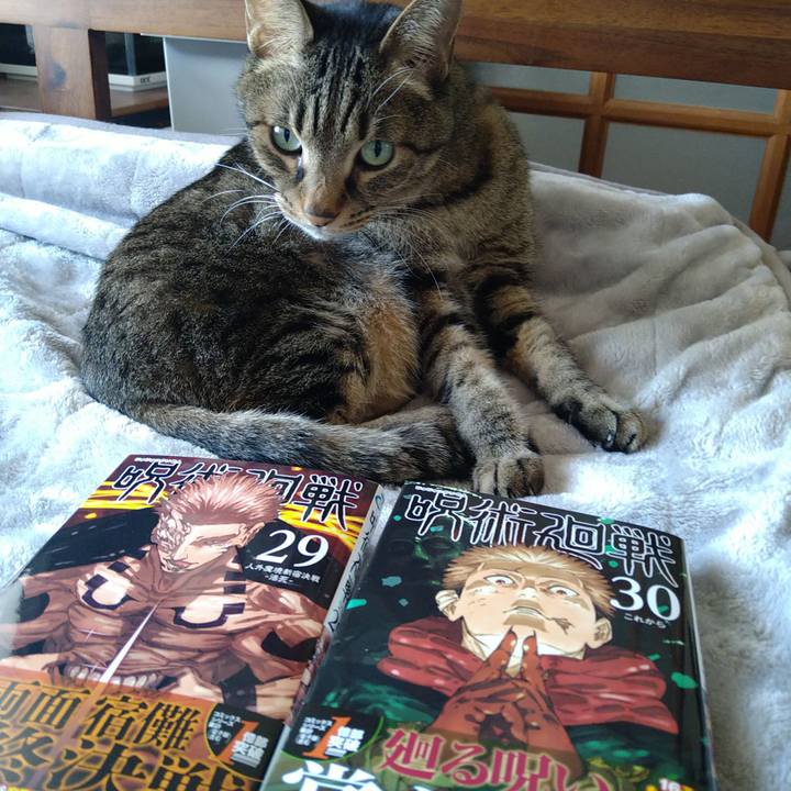 806ca3de 4576 4094 ac60 21153abd285a 1735348072125