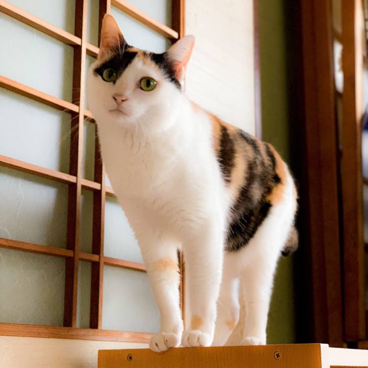 806cd213 b306 44bf a7e7 6a3610edd8d6 1562808704329