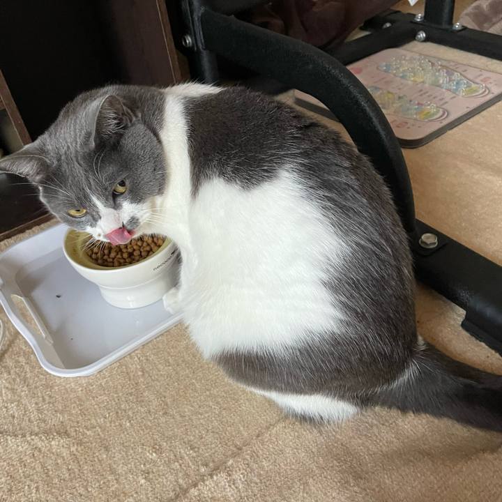 806cd90c 30b7 48e8 ad9c 4f610ae6af49 1657418431390