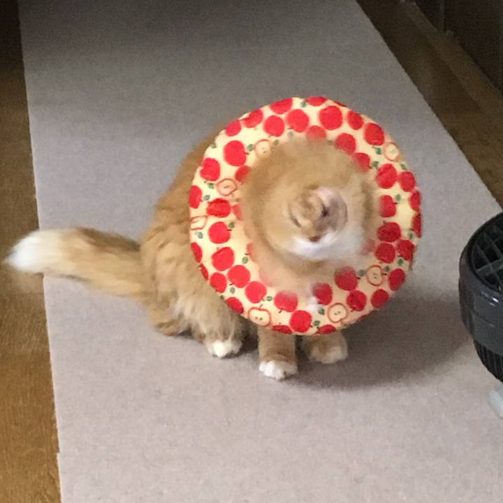 806cfaca cd6d 4be7 8d5a bba9ac9275c5 1525864000769