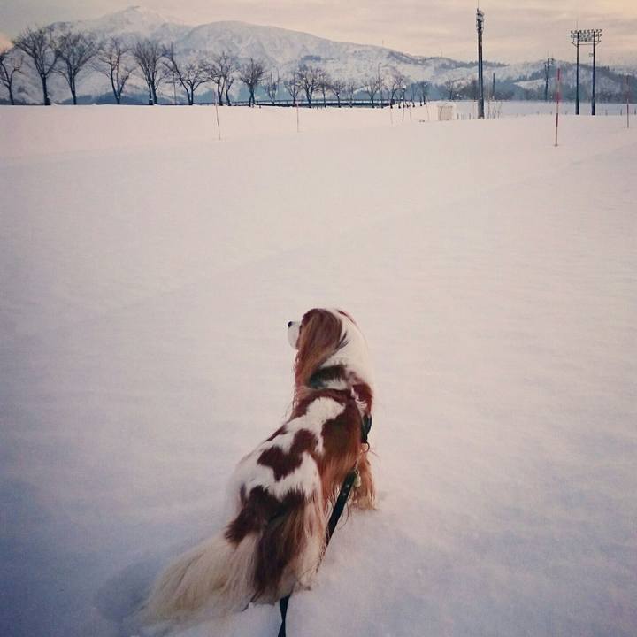 806d3adc 01d2 4b89 ac67 76a6fd675ad3 1513322197403