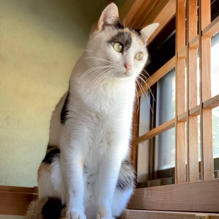 806da0d8 af6d 42ef 8dbf 2eace5316188 1538879320248