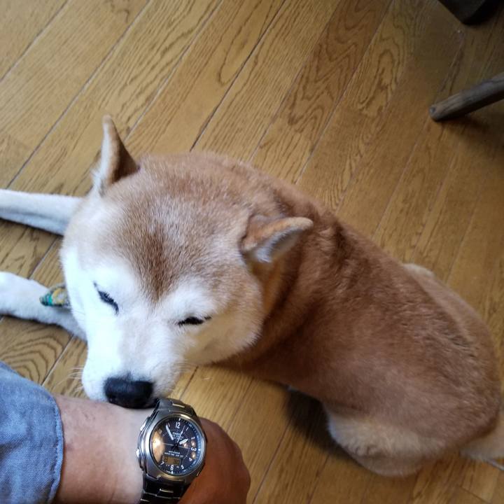 806dab2f 165d 4a4d b59e 0fbe0b43fb6f 1667105774667