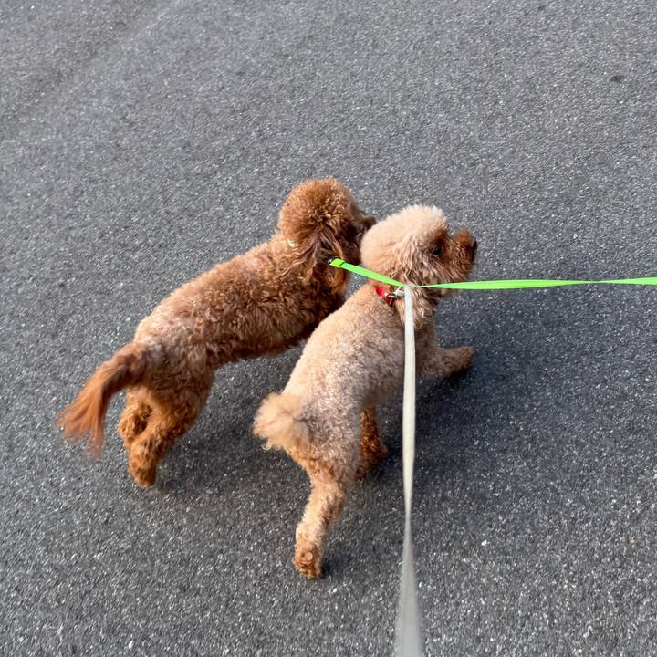 806dddbb 3c39 4074 abd0 963deb5186e8 1755345406663