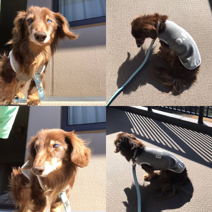 806e6130 e824 482e 86db 12bd84b073d0 1585093569268